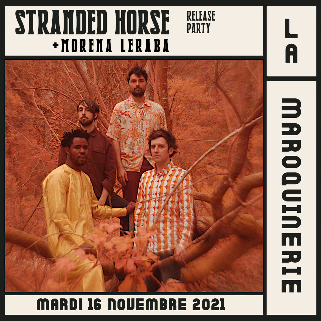 STRANDED HORSE REPORTÉ AU 16 NOVEMBRE 2021